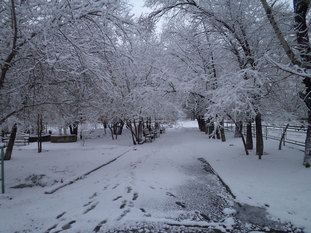 Photograph by Нурлан Кушкунов