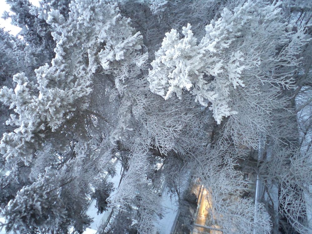 Photograph by Нурлан Кушкунов