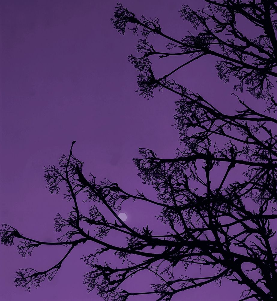 Photograph by Алексей Дмитриевич