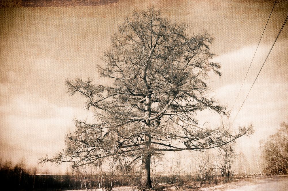 Photograph by Дмитрий Фур