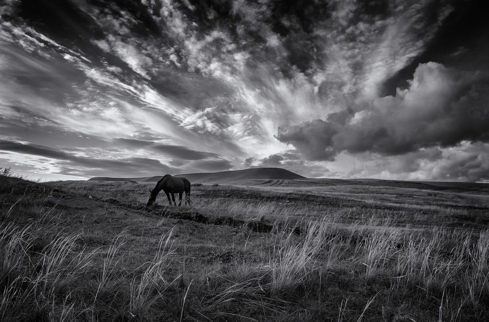 Photograph by Тамара Андреева