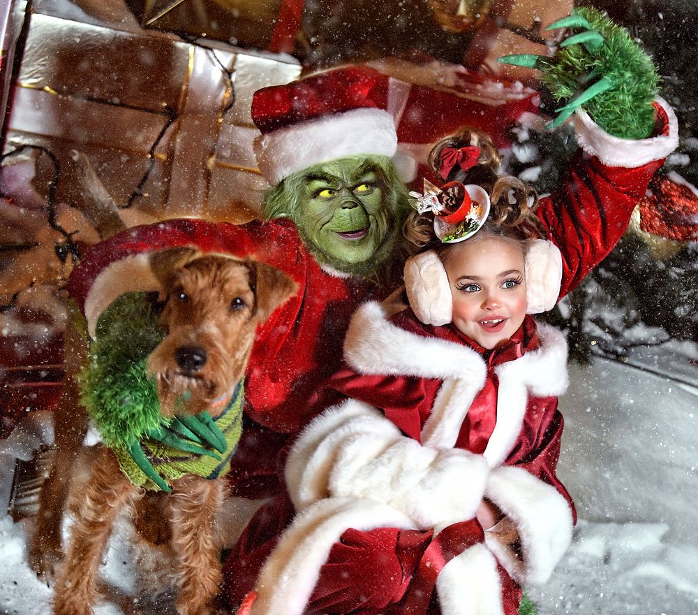 Гринч — похититель Рождества