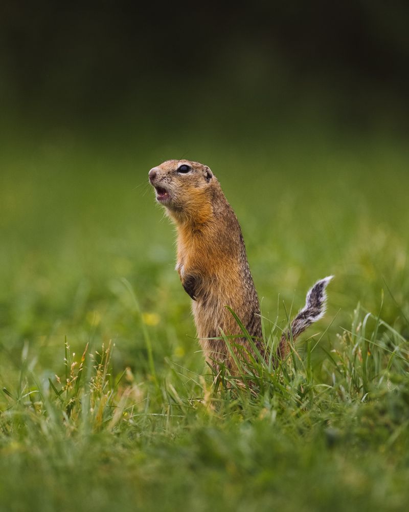 Photograph by Андрей Белавин