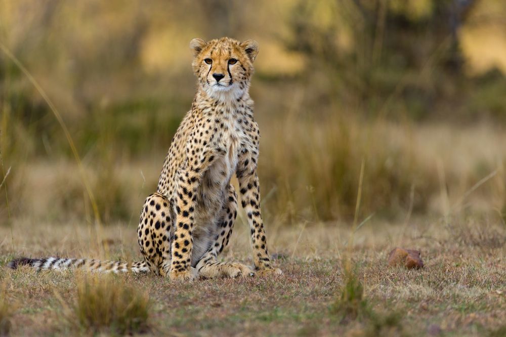 Photograph by Ruzdi Ekenheim