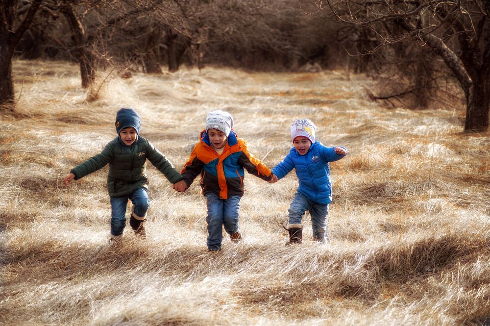 Photograph by DAMOUN POURNEMATI