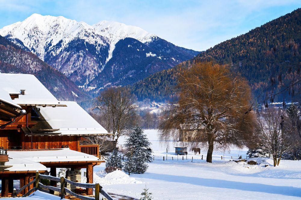 Photograph by Марк Шлеймович