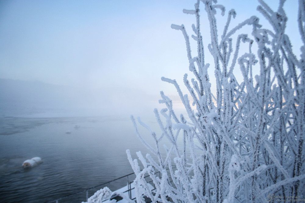 Photograph by Михаил Кувшинов