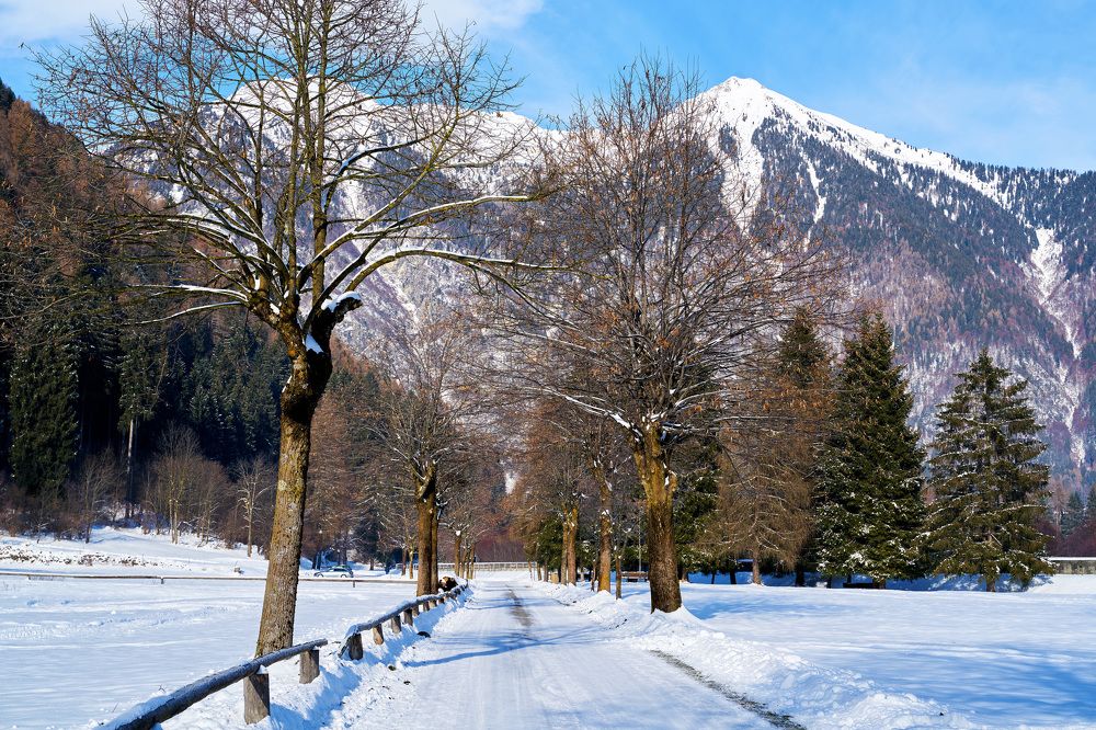 Photograph by Марк Шлеймович