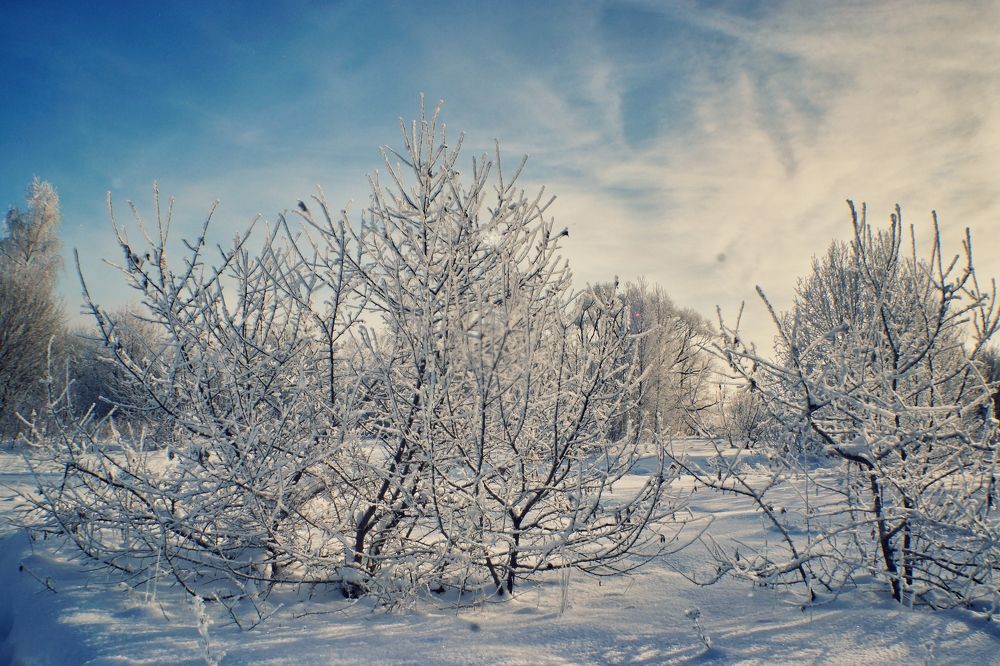 Зимняя сказка