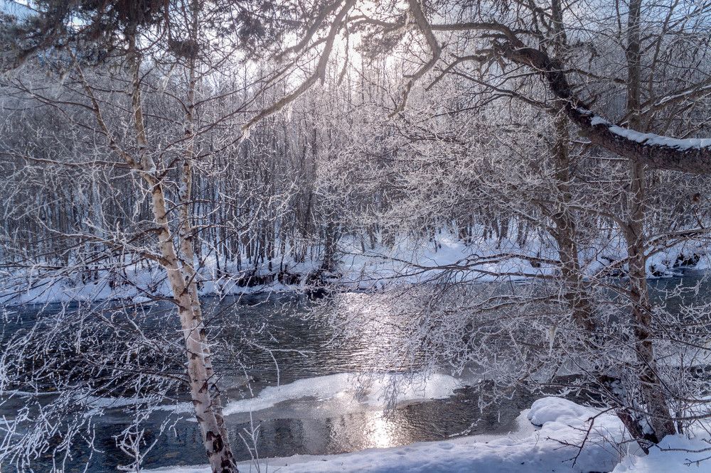 Photograph by Анастасия Плахотникова