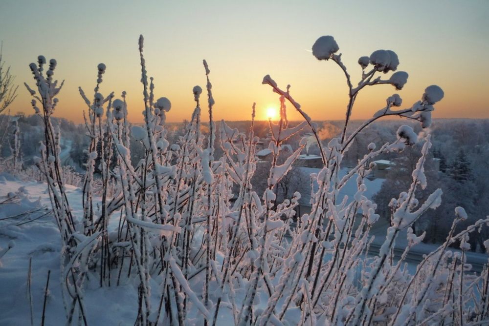 Photograph by Людмила