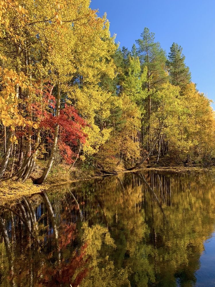 Photograph by Мария Василенко