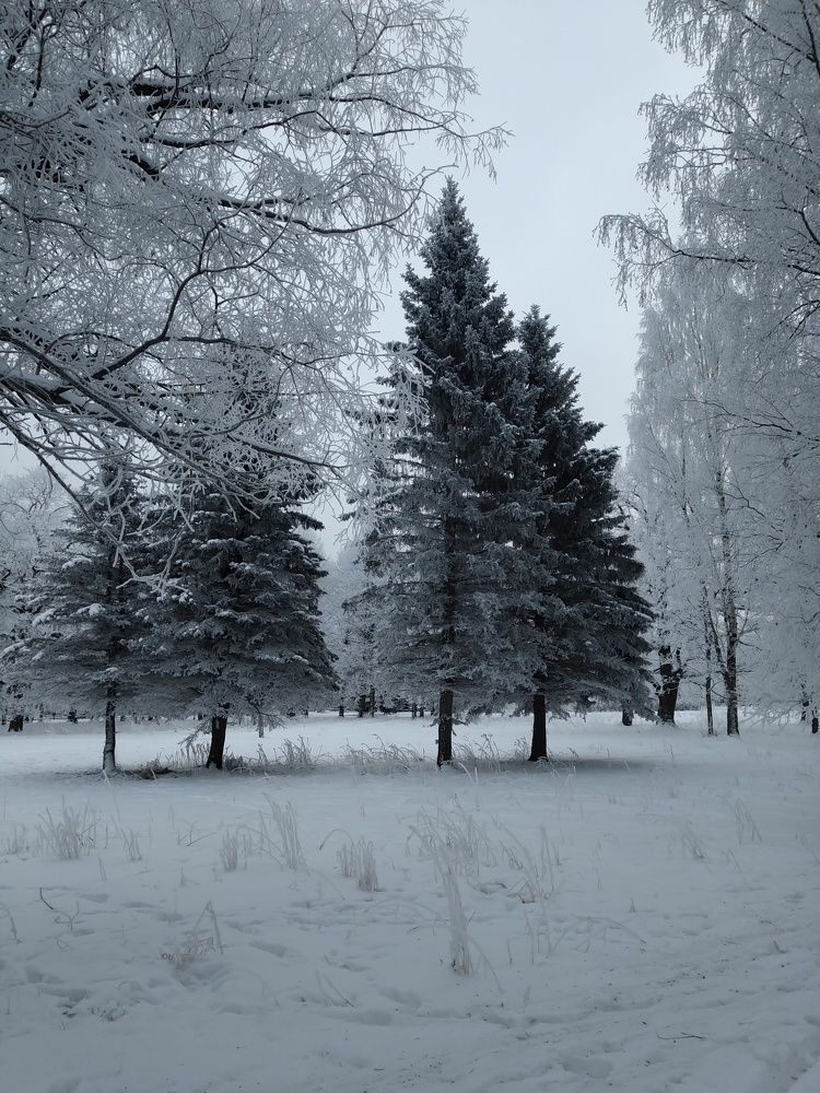 Photo #7032549
