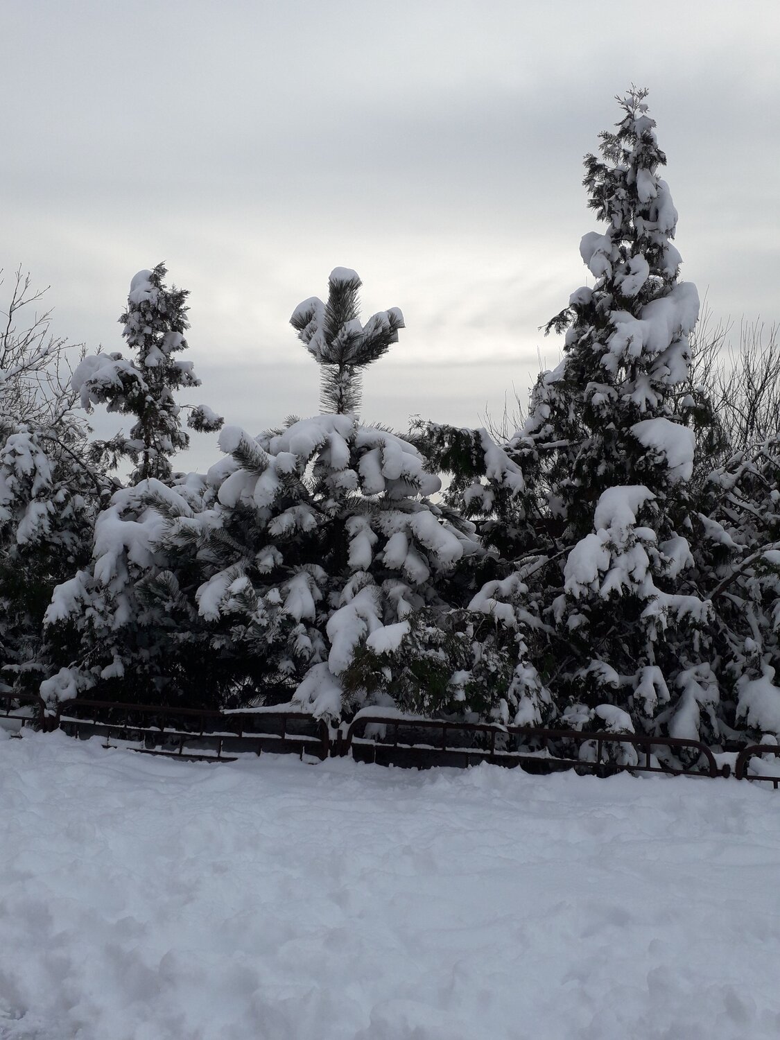 Photo #7032553