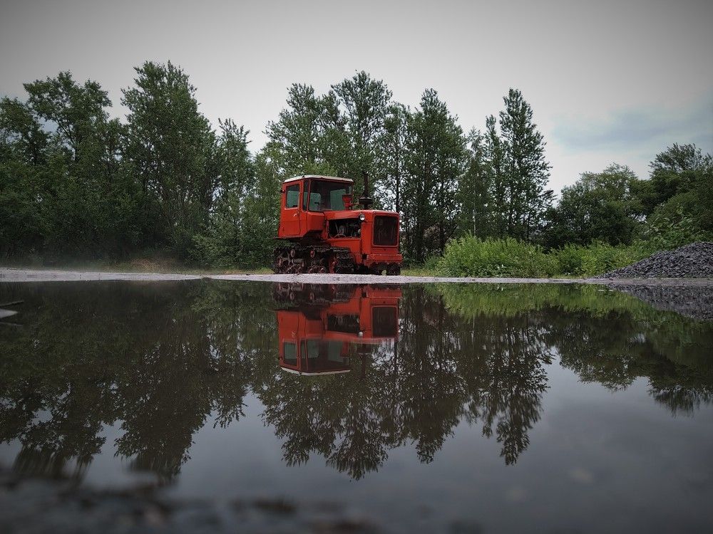 Photo #7032564