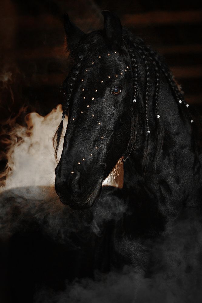 Photograph by Дарья Ералева