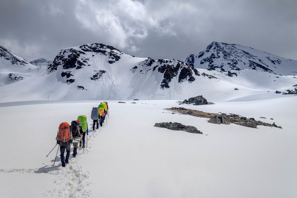 Photograph by Анастасия Плахотникова