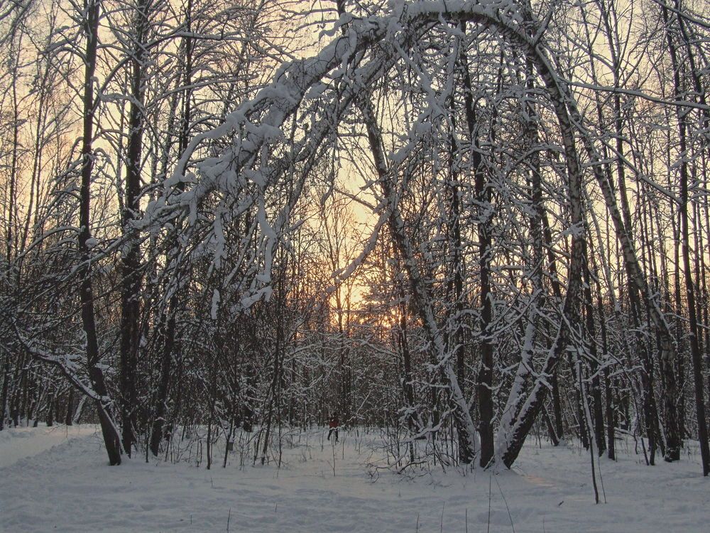 Фотография автора Бронислав Краснер