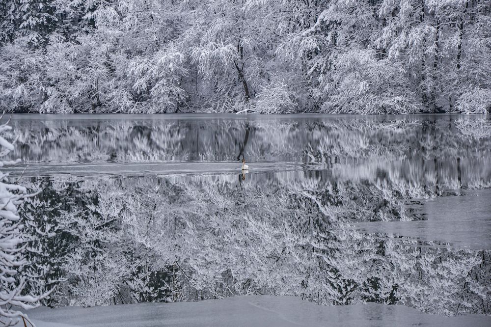 Photograph by Наталья