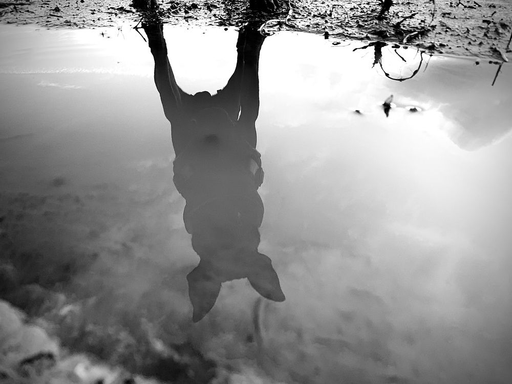 Фотография автора Алеся Кубаткина