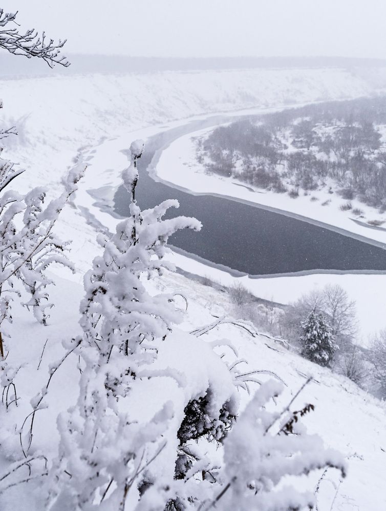 Photograph by Виктория Селютина