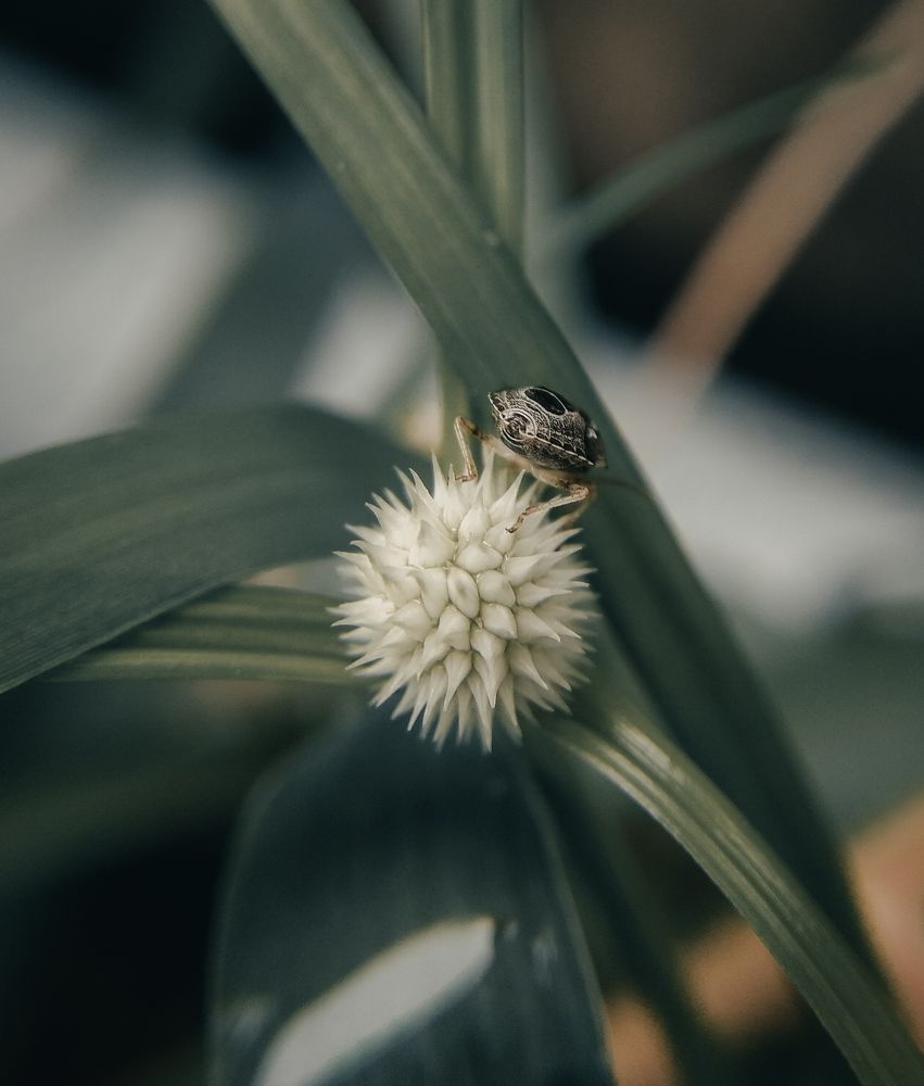 Photograph by Subrat Arya