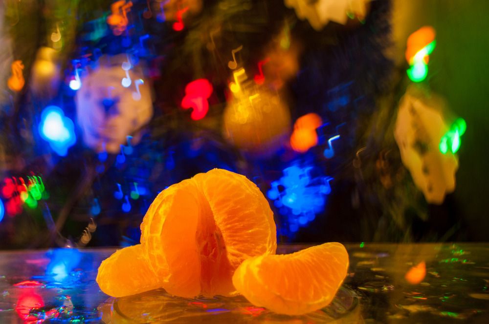 Фотография автора Екатерина Полякова