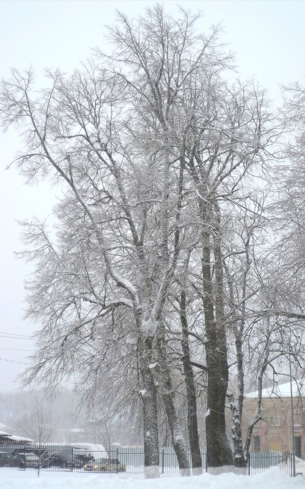 Photograph by Кира Орлова