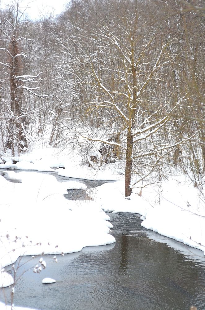 Photograph by Кира Орлова