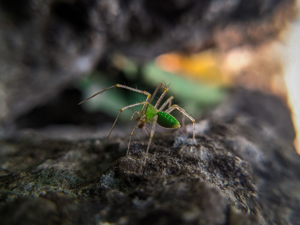 Photograph by Sai udeep sagar Yadalla