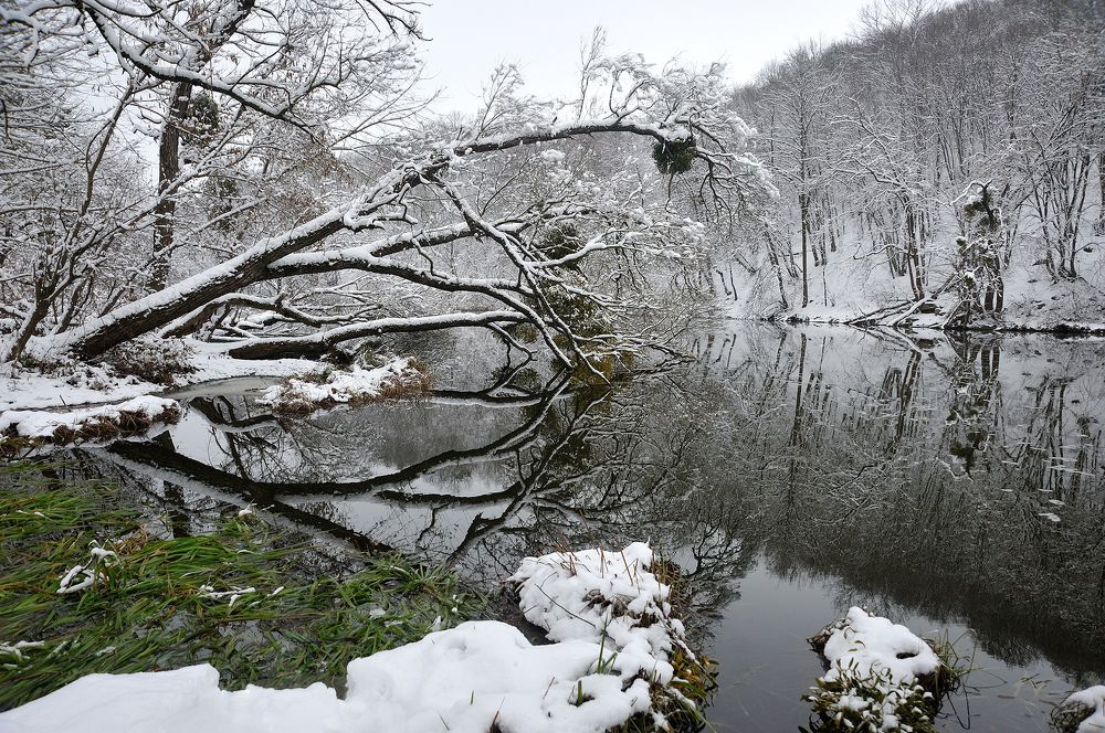 Первый снег