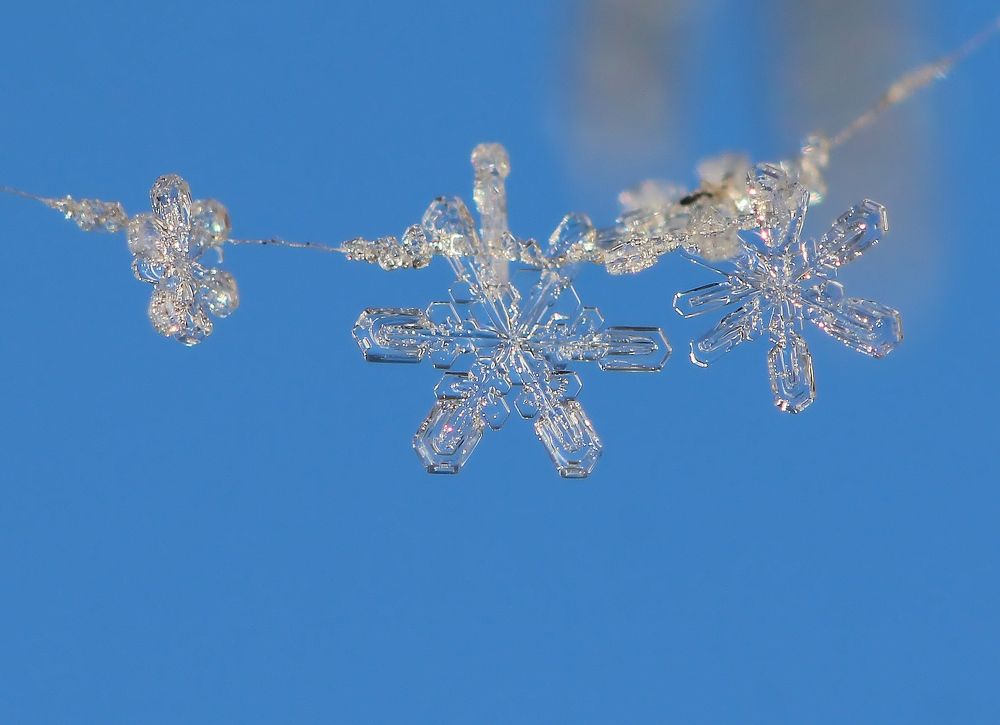 Photograph by Любовь Саханова