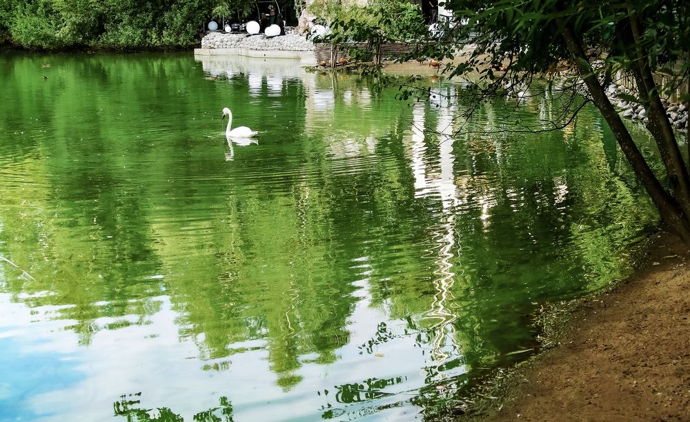 Безмятежность