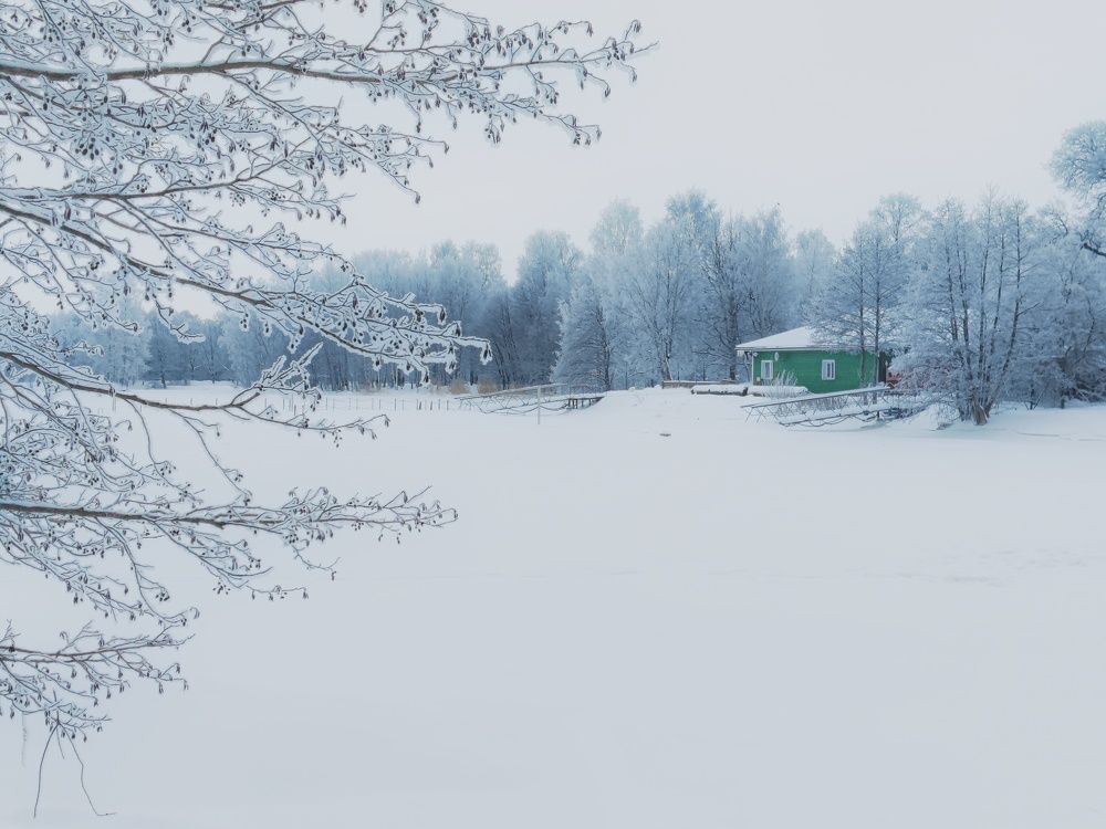 Домик в лесу