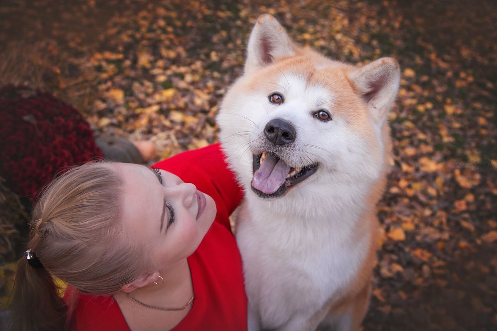 Photograph by Ирина Глазурь