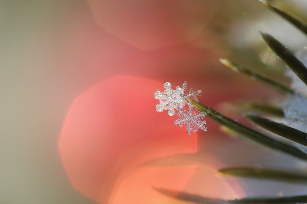 Photograph by Любовь Саханова