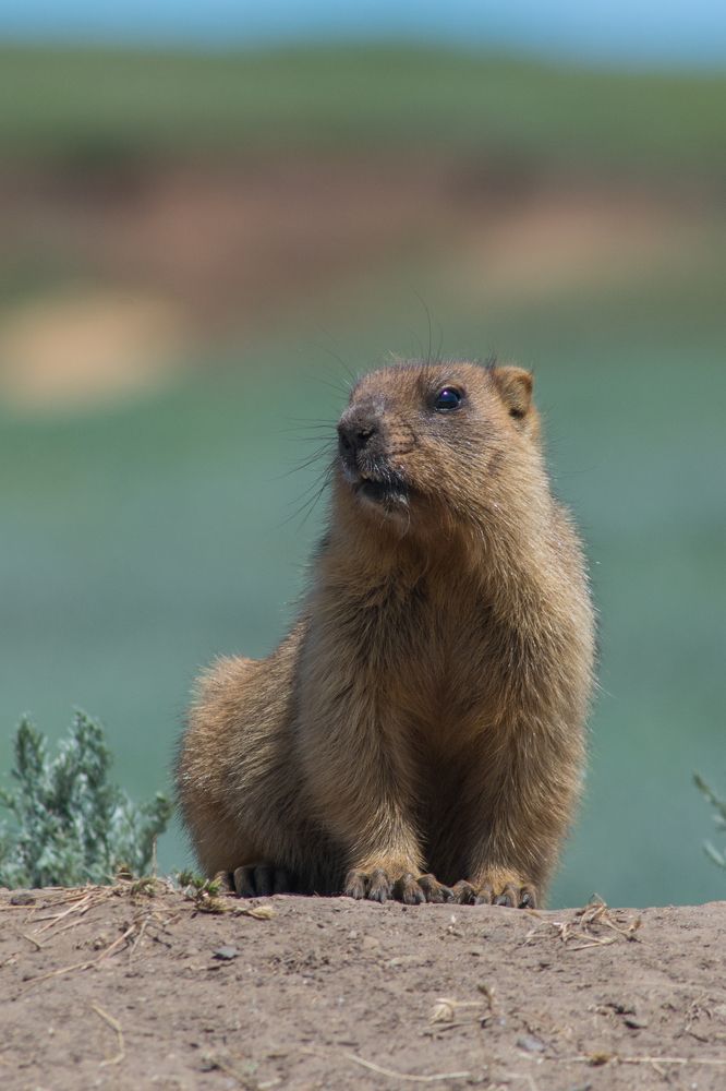 Photograph by Дмитрий Сумин