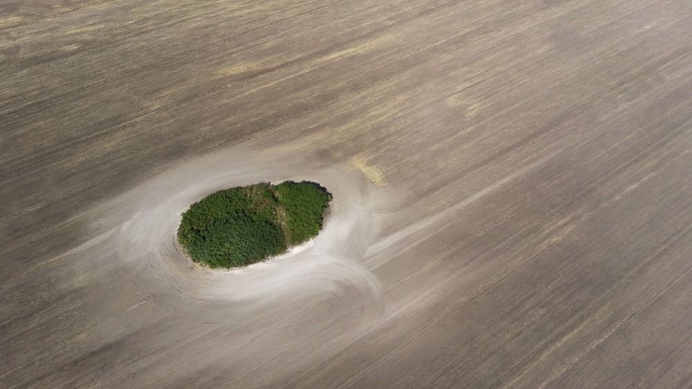 Photograph by Дмитрий Сумин