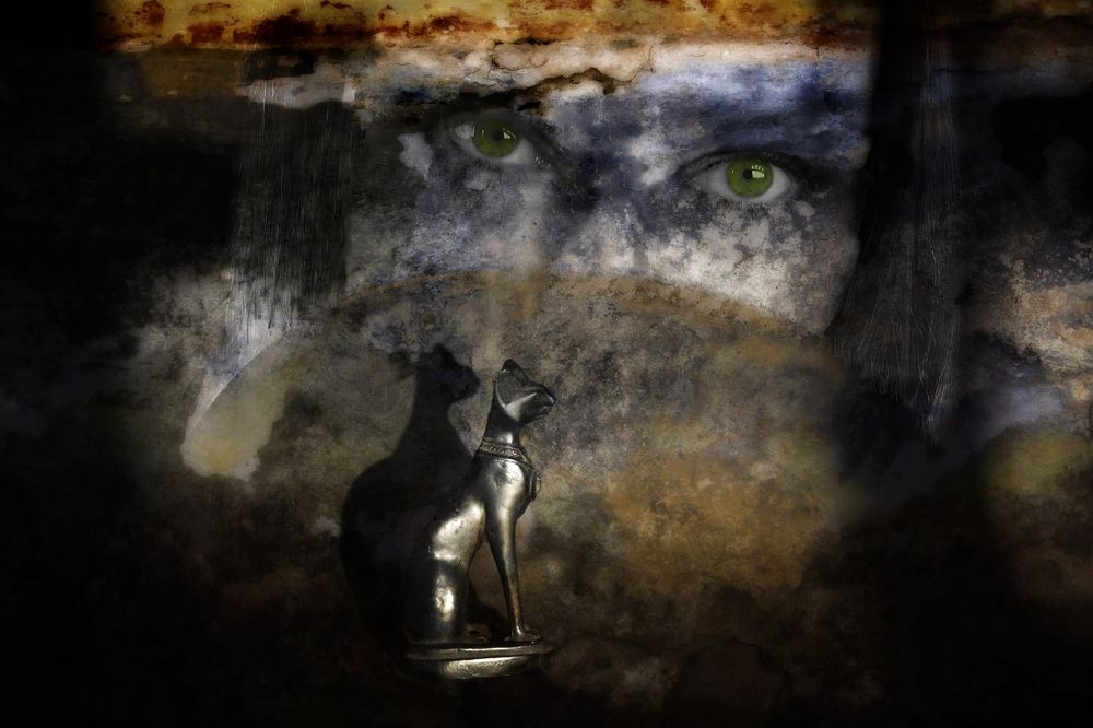 Photograph by Gizela Halászová