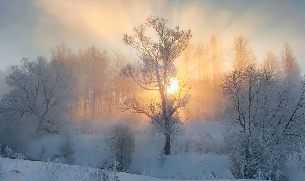 Photograph by Виктор Карнеев