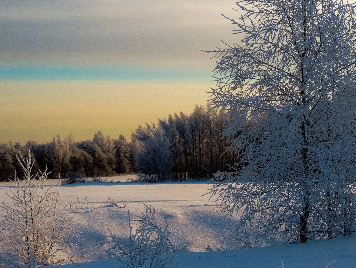 Photo #7033124