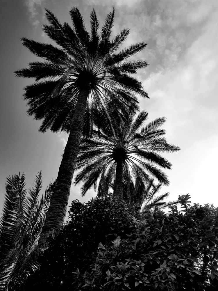 Photograph by Zahra HassanPour