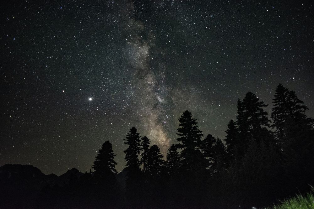 Photograph by Григорий Рунталь