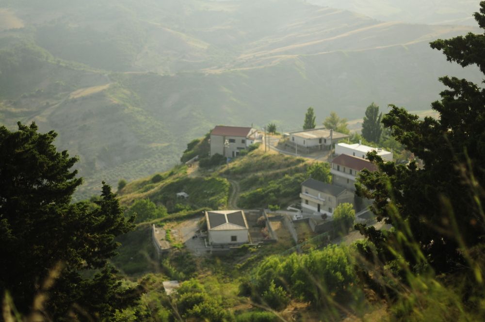 Photograph by Irina Grek