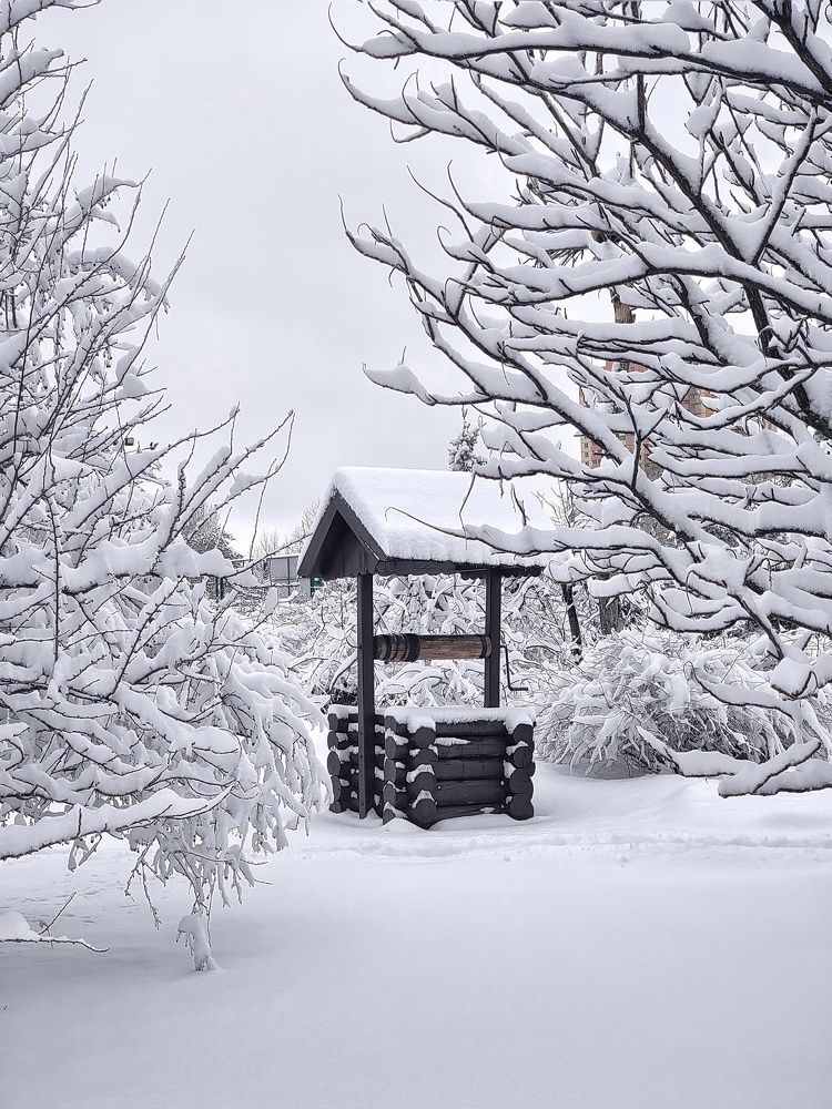 Фотография автора Ольга Игуменова