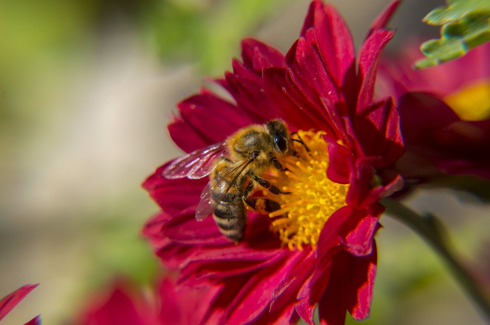 Photograph by Alexandros Melidis