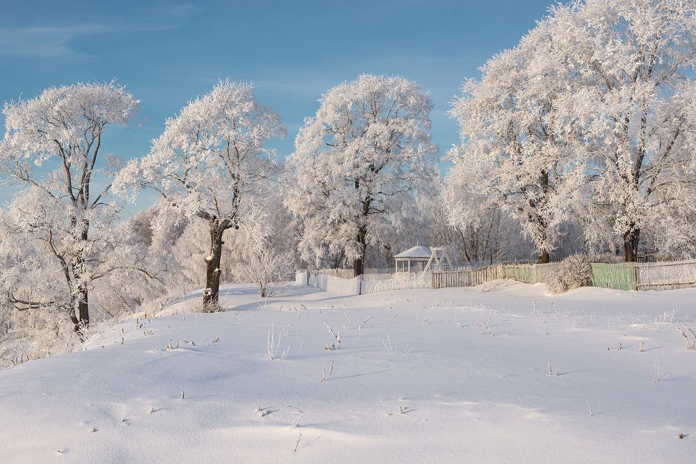 Photograph by Сальников Евгений