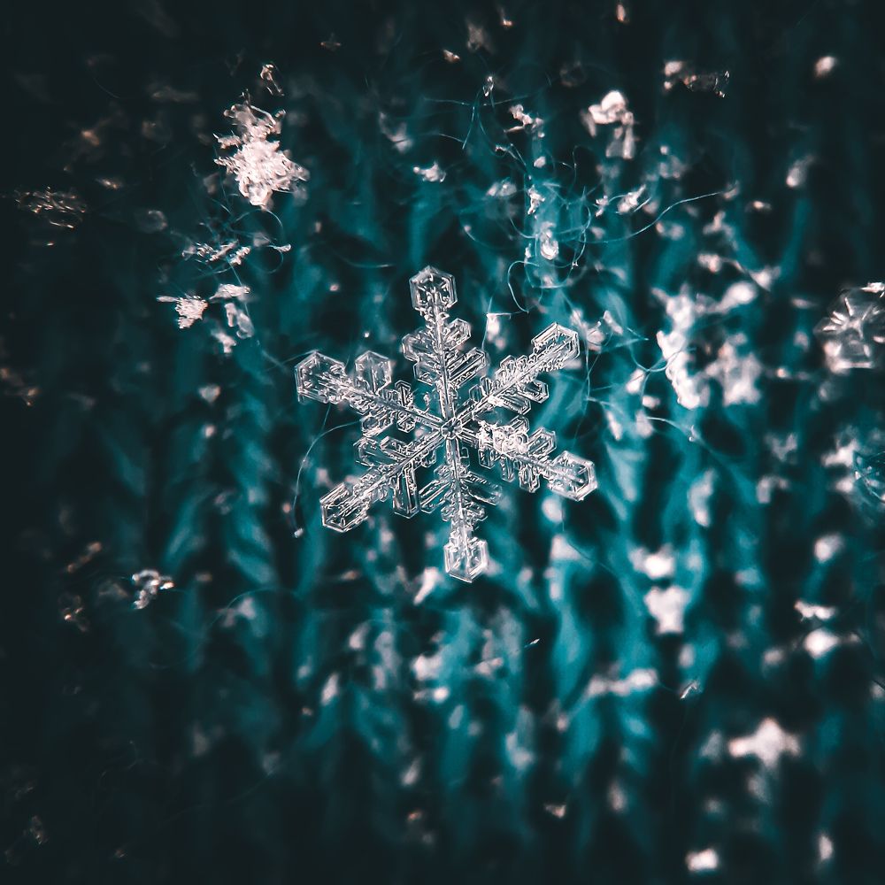 Photograph by Юлия Быкова