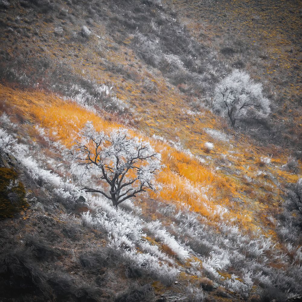 Photograph by Ислам Мирсаитов