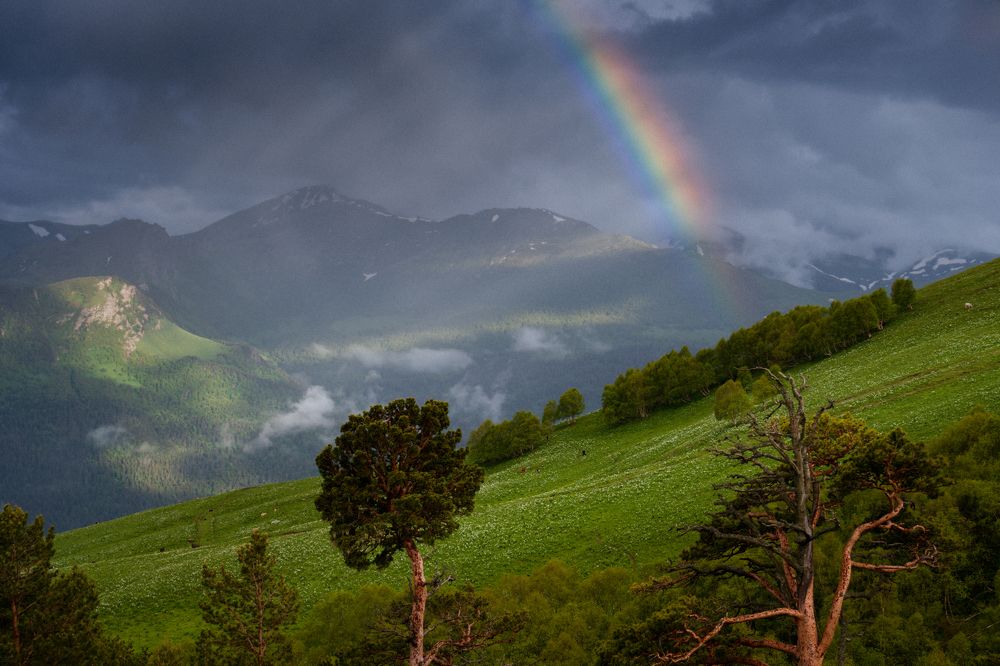 Photograph by Елена Шевченко